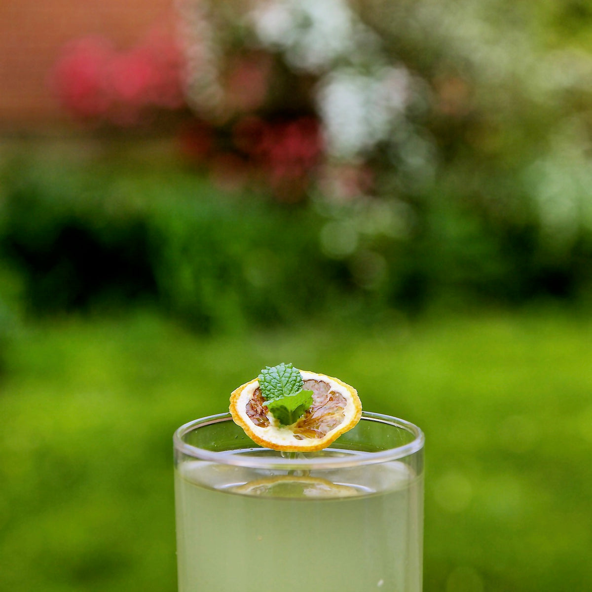 JAPANESE GIN SOUR Element Shrub