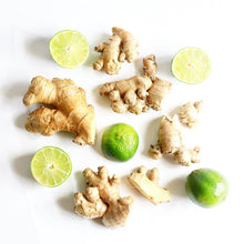 Load image into Gallery viewer, GINGER LIME SHRUB
